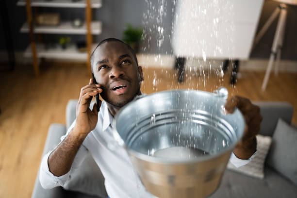 Best Ceiling water damage repair  in Roland, AR