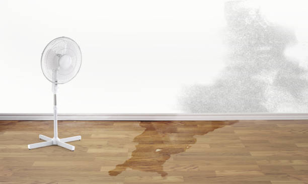 Best Residential water damage restoration  in Roland, AR
