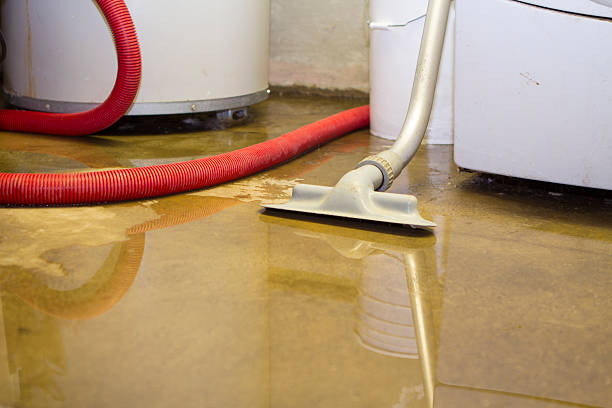 Best Commercial water damage restoration  in Roland, AR